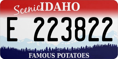 ID license plate E223822
