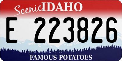 ID license plate E223826