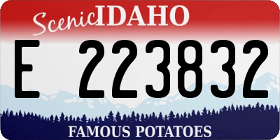 ID license plate E223832