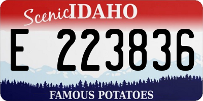 ID license plate E223836