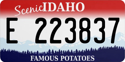 ID license plate E223837