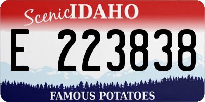 ID license plate E223838