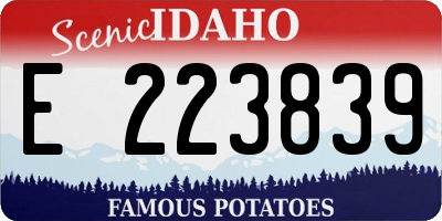 ID license plate E223839