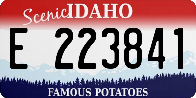 ID license plate E223841