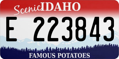 ID license plate E223843