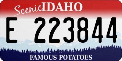 ID license plate E223844