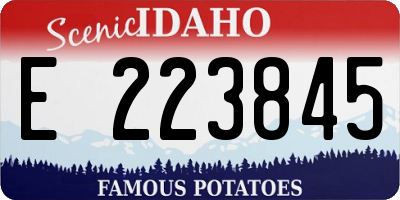 ID license plate E223845