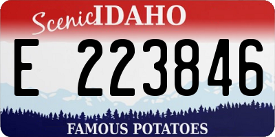 ID license plate E223846
