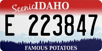 ID license plate E223847