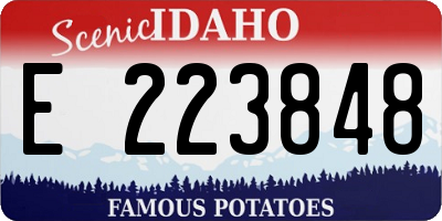 ID license plate E223848