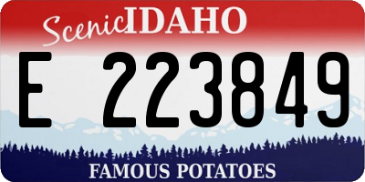 ID license plate E223849