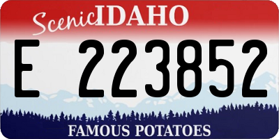 ID license plate E223852