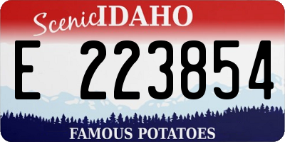 ID license plate E223854