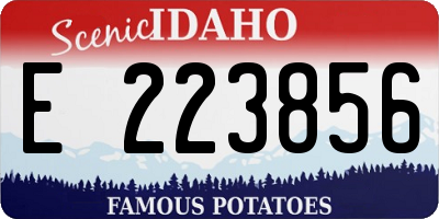 ID license plate E223856