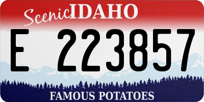 ID license plate E223857