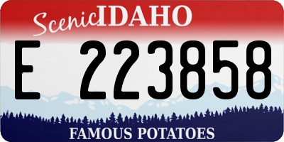 ID license plate E223858
