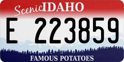 ID license plate E223859