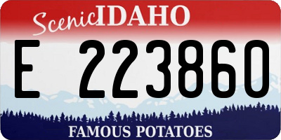 ID license plate E223860