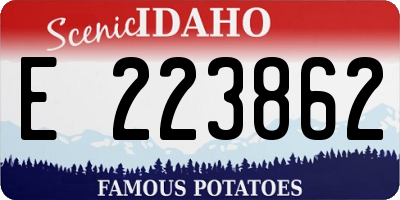 ID license plate E223862