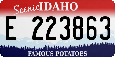 ID license plate E223863