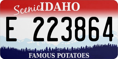 ID license plate E223864