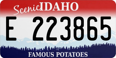 ID license plate E223865