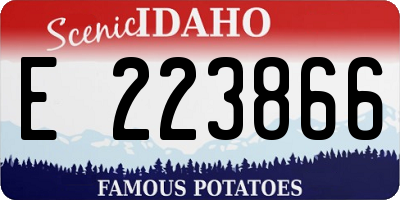 ID license plate E223866