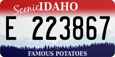 ID license plate E223867