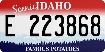 ID license plate E223868