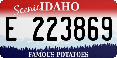 ID license plate E223869