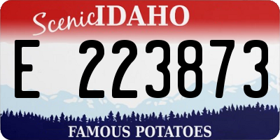ID license plate E223873