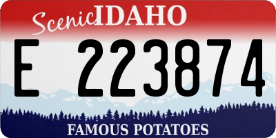 ID license plate E223874