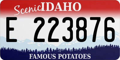 ID license plate E223876