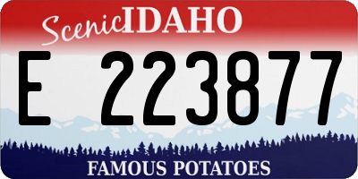 ID license plate E223877