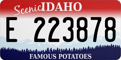 ID license plate E223878