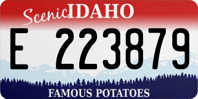 ID license plate E223879