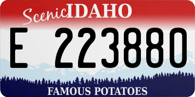 ID license plate E223880