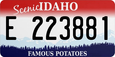 ID license plate E223881