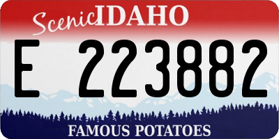 ID license plate E223882