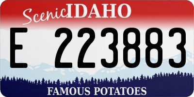 ID license plate E223883