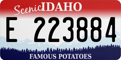ID license plate E223884