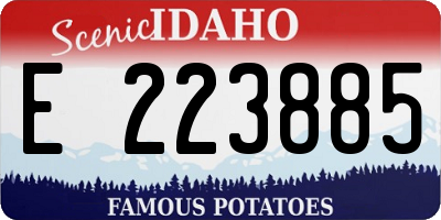 ID license plate E223885