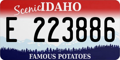 ID license plate E223886