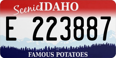 ID license plate E223887