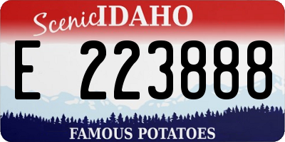 ID license plate E223888