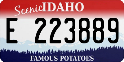 ID license plate E223889
