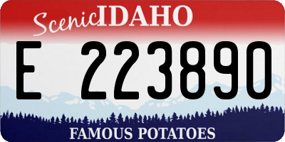 ID license plate E223890