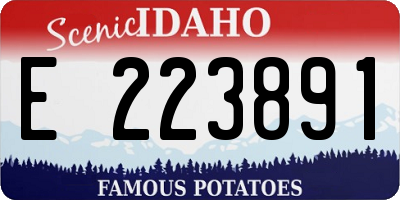 ID license plate E223891