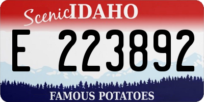 ID license plate E223892