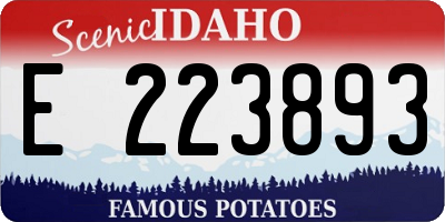 ID license plate E223893